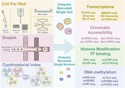 Advances in Single-Cell Multi-Omics and Application in Cardiovascular Research